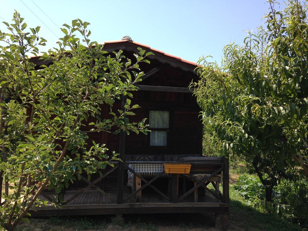 Salkim Konak Ve Agac Evler Guest House Selcuk Exterior photo